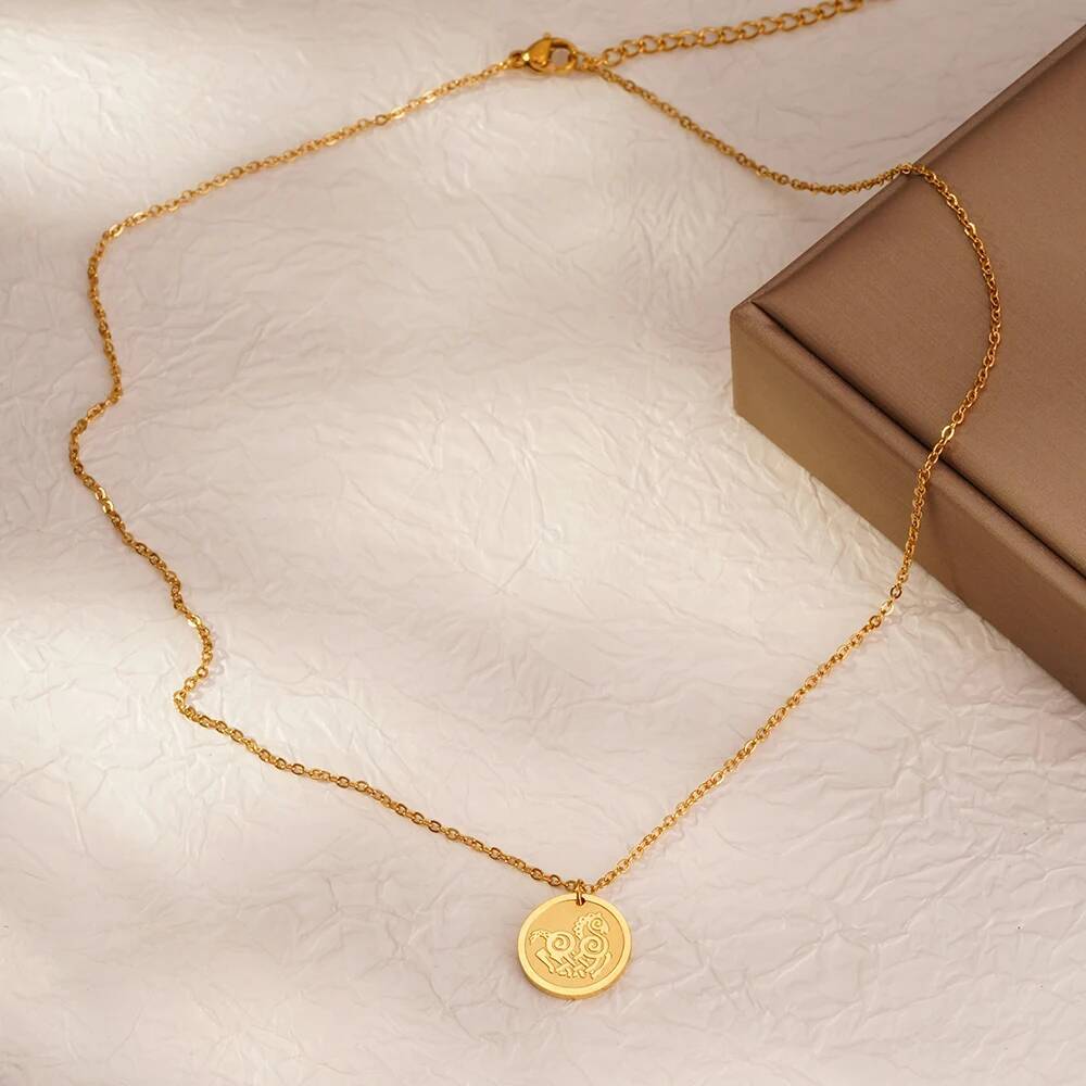 Stainless Steel Fashion Women  - Coin Necklace Delicate recensione e prezzo