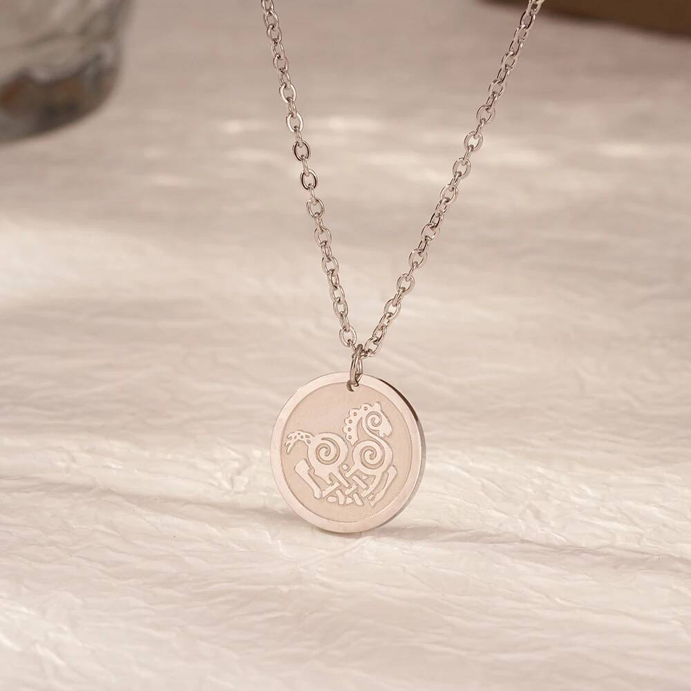Stainless Steel Fashion Women  - Coin Necklace Delicate recensione e prezzo