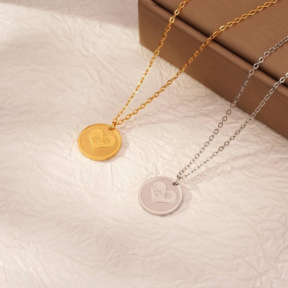 Stainless Steel Fashion Delica - Coin Necklace Delicate recensione e prezzo